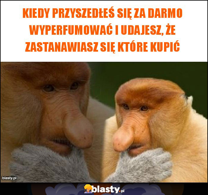 Kiedy przyszedłeś się za darmo wyperfumować i udajesz, że zastanawiasz się które kupić