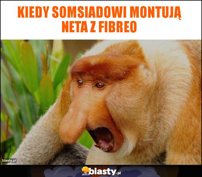 KIEDY SOMSIADOWI MONTUJĄ NETA Z FIBREO