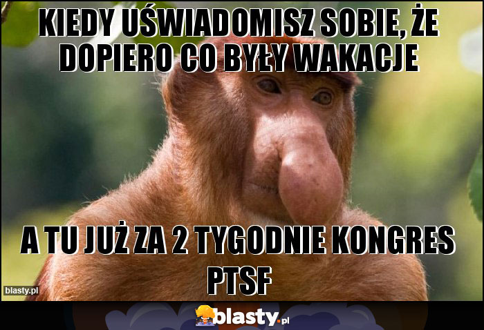 kiedy uświadomisz sobie, że dopiero co były wakacje