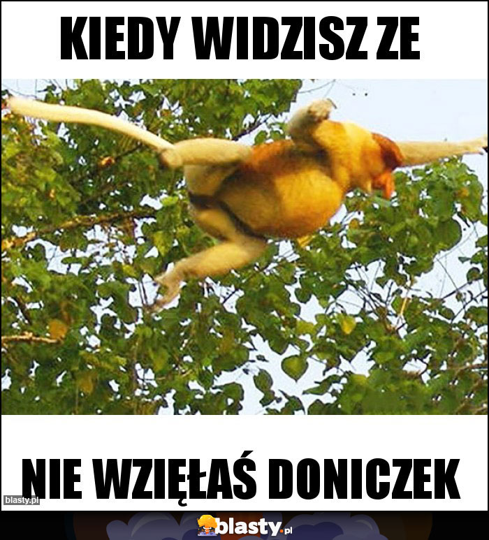 KIEDY WIDZISZ ze