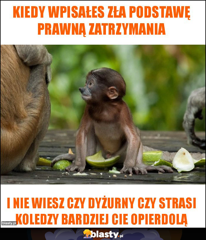 Kiedy wpisałes zła podstawę prawną zatrzymania