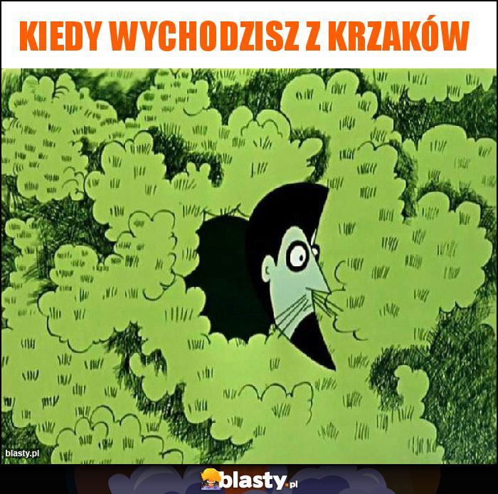 Kiedy wychodzisz z krzaków