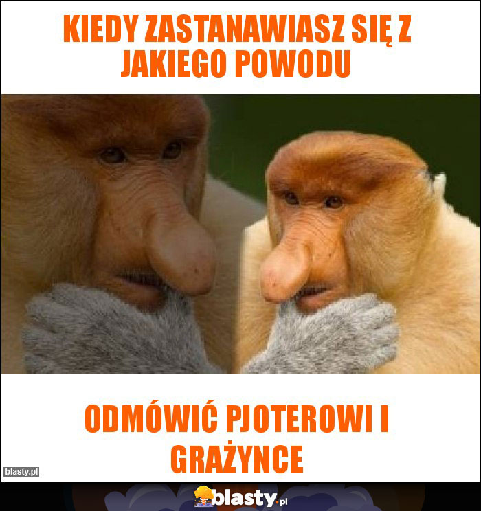 Kiedy zastanawiasz się z jakiego powodu