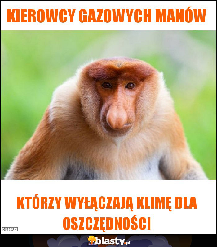 Kierowcy gazowych MANów