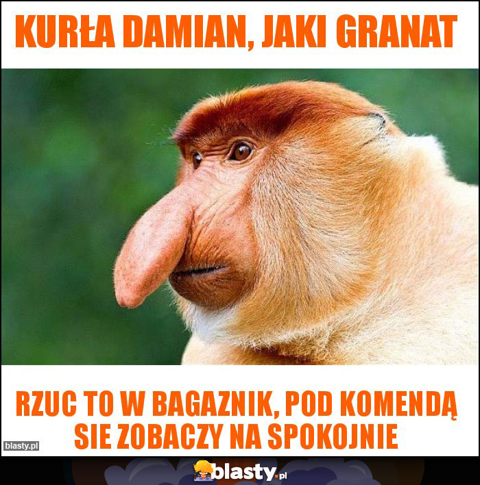 kurła damian, jaki granat