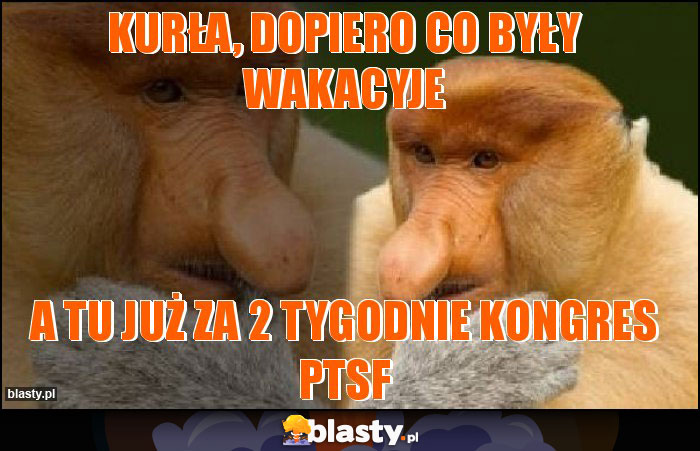 kurła, dopiero co były wakacyje