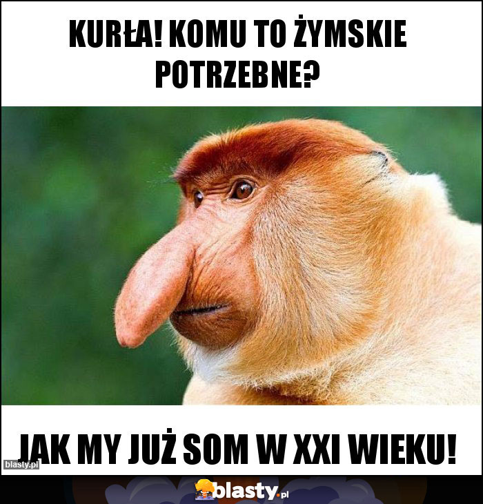 Kurła! Komu to żymskie potrzebne?