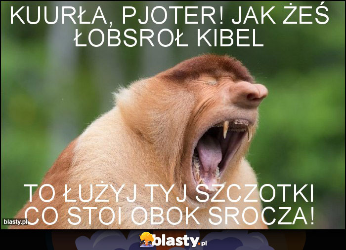 KUURŁA, PJOTER! JAK ŻEŚ ŁOBSROŁ KIBEL