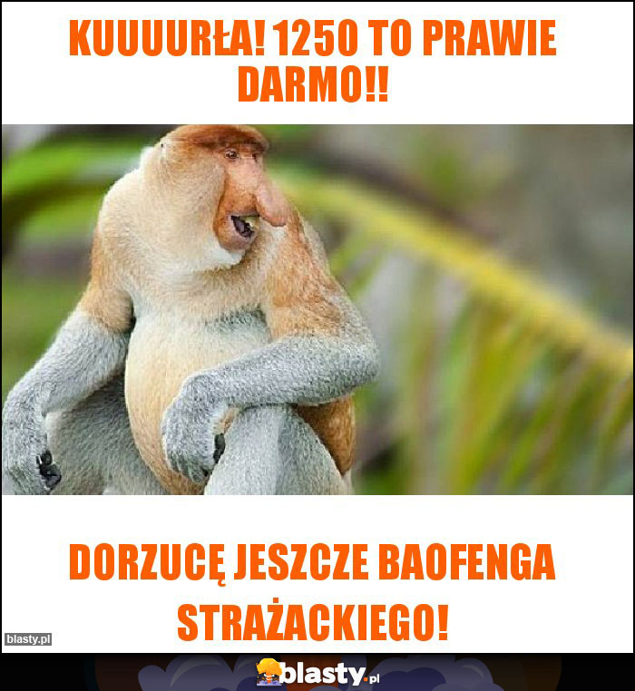 KUUUURŁA! 1250 to prawie darmo!!