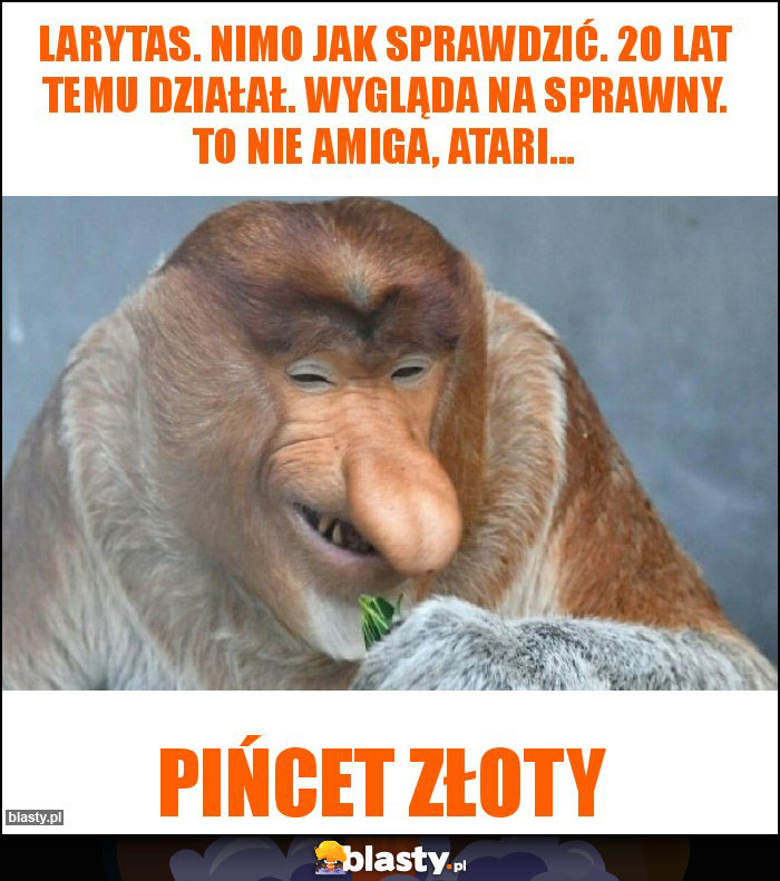 Larytas. Nimo jak sprawdzić. 20 lat temu działał. Wygląda na sprawny. To nie Amiga, Atari...