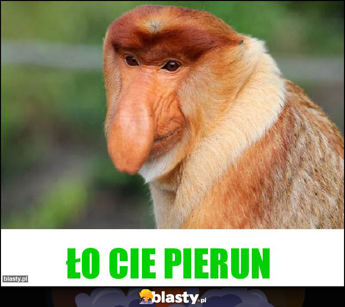 ŁO CIE PIERUN