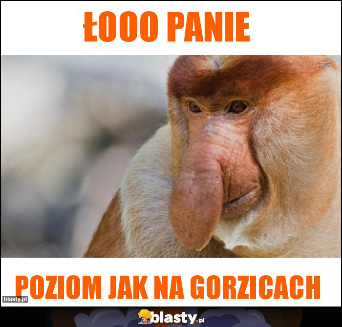 Łooo Panie