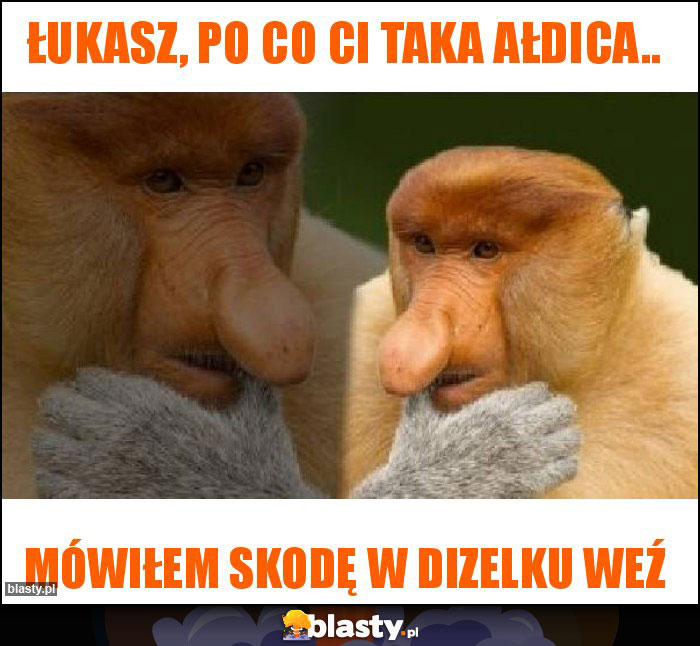 Łukasz, po co ci taka ałdica..