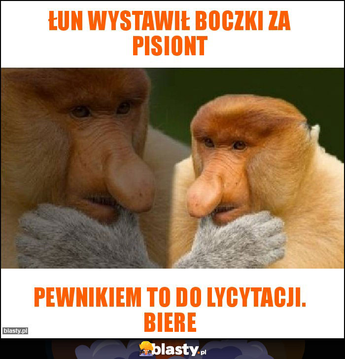 łun wystawił boczki za pisiont