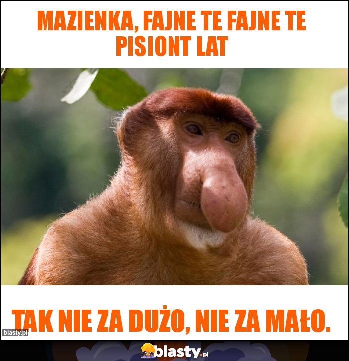 MAZIENKA, FAJNE TE FAJNE TE PISIONT LAT