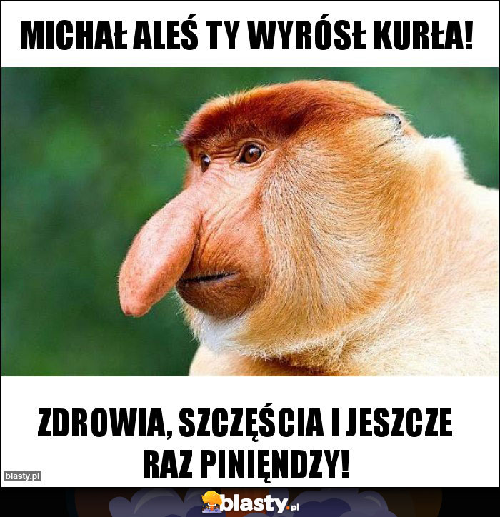 Michał aleś ty wyrósł kurła!