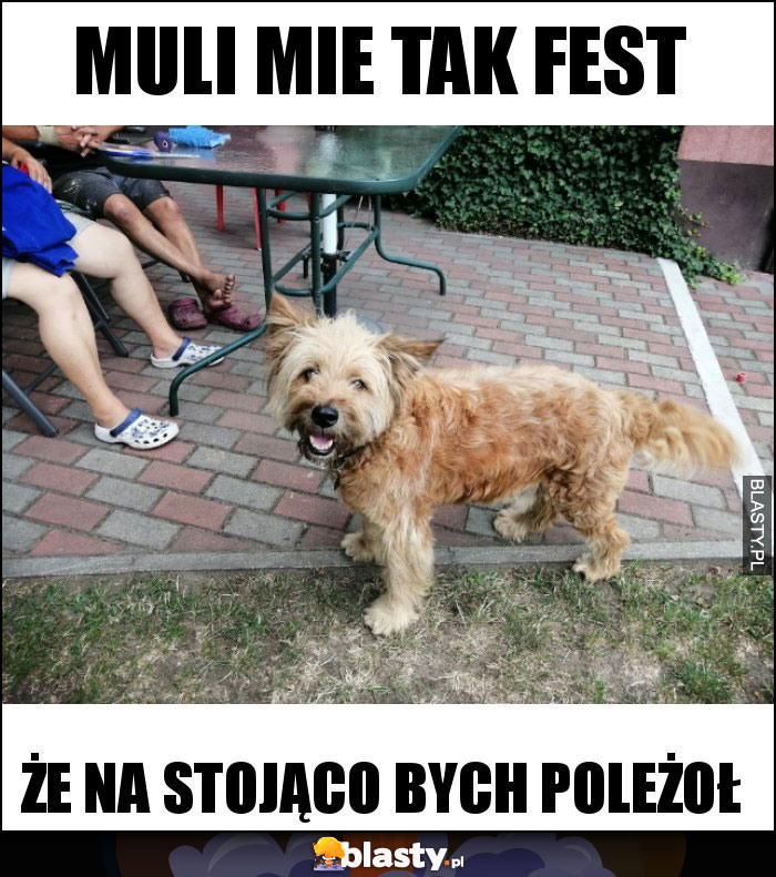 Muli mie tak fest