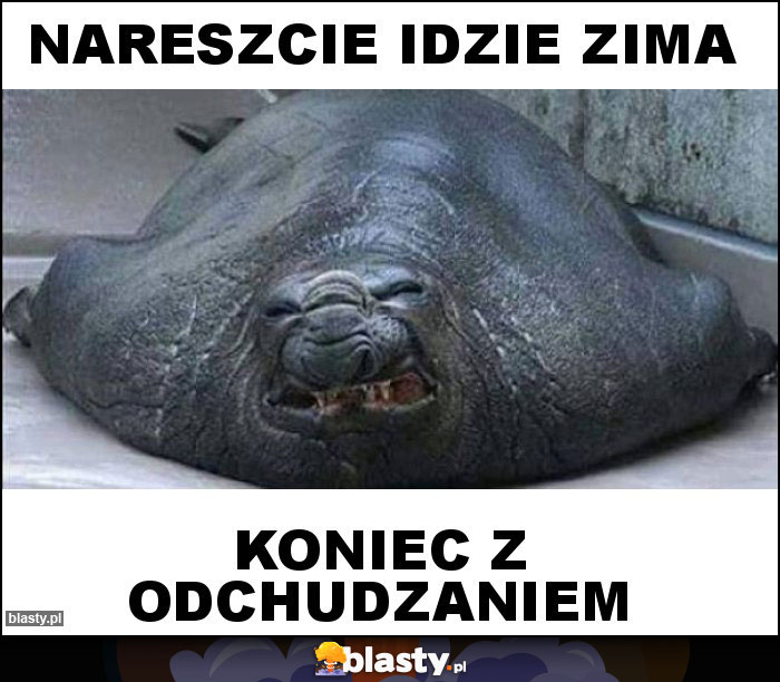 Nareszcie idzie zima