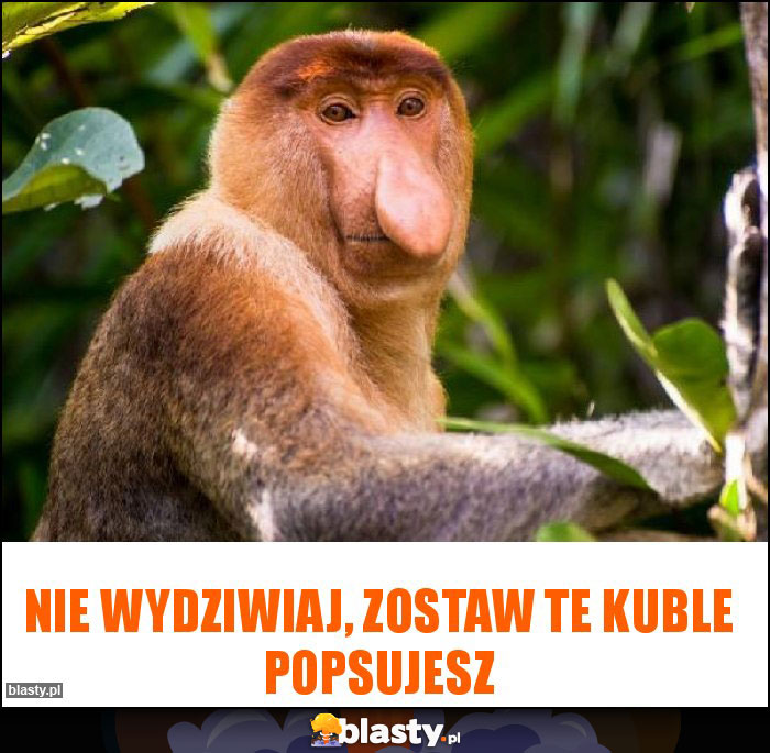 Nie wydziwiaj, zostaw te kuble popsujesz