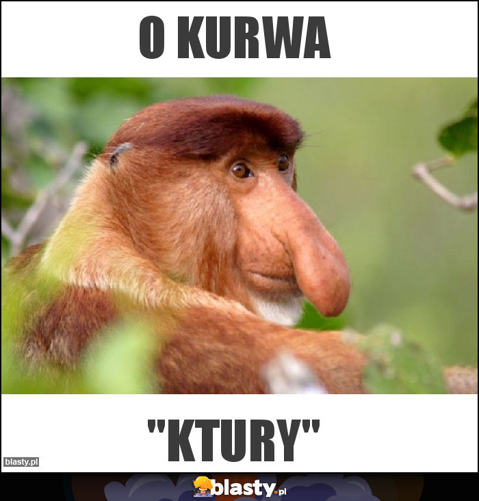 O kurwa