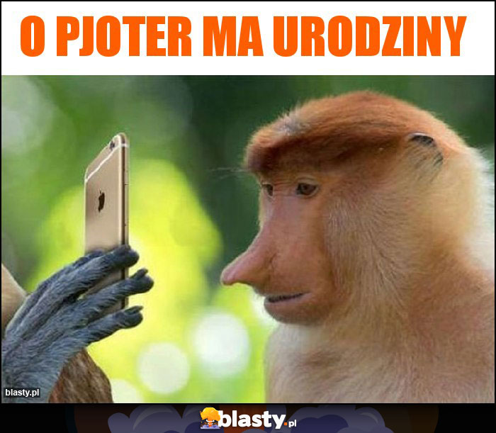 O Pjoter ma urodziny