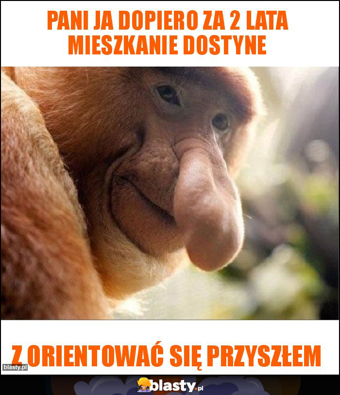 Pani ja dopiero za 2 lata mieszkanie dostyne