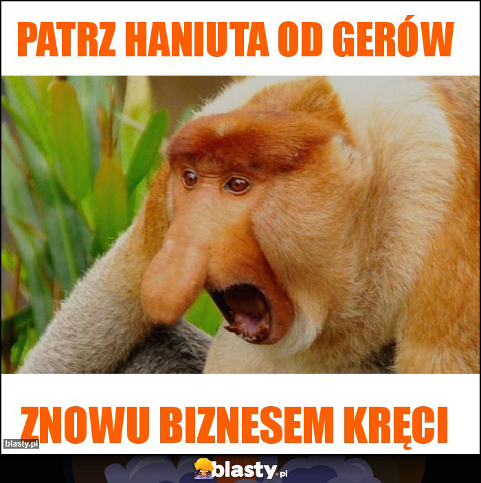 Patrz haniuta od gerów