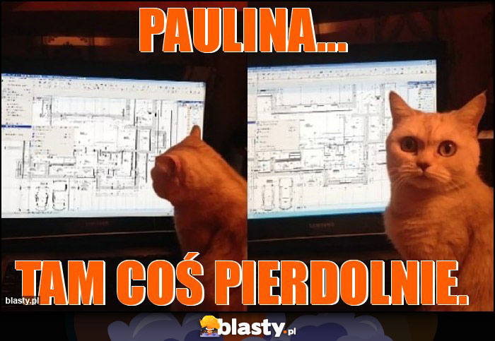 Paulina...