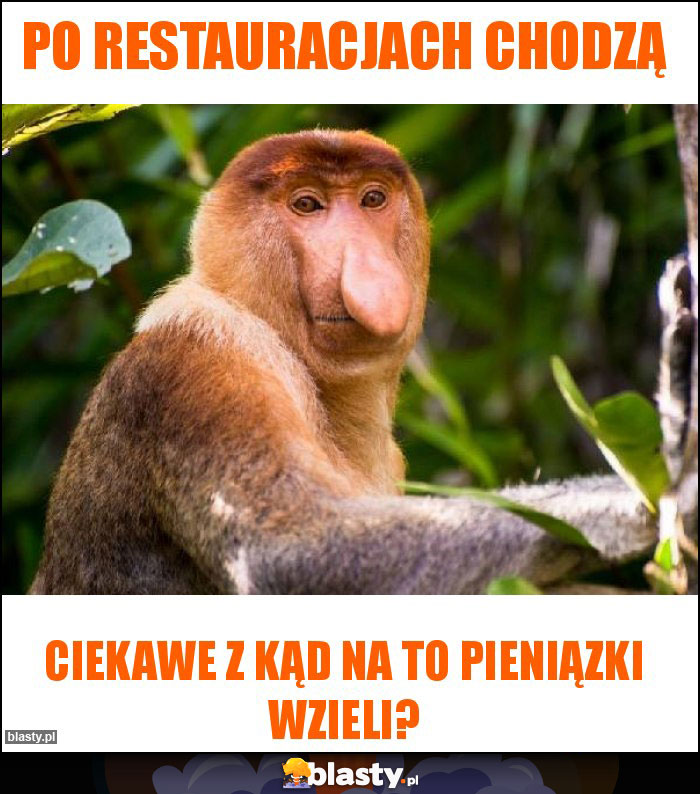 Po restauracjach chodzą