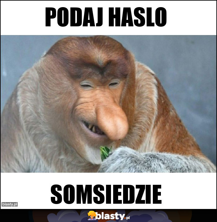 Podaj haslo