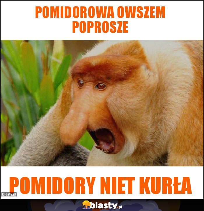 Pomidorowa owszem poprosze