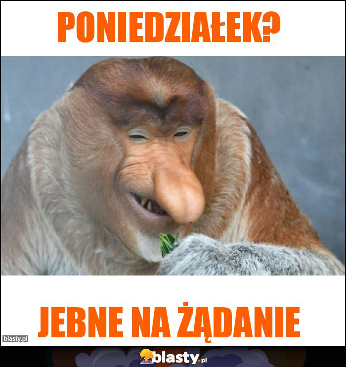 Poniedziałek?