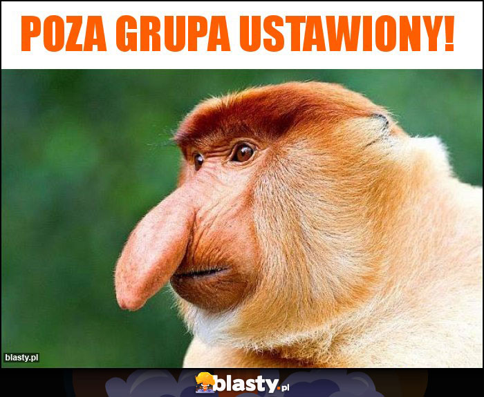 Poza grupa ustawiony!