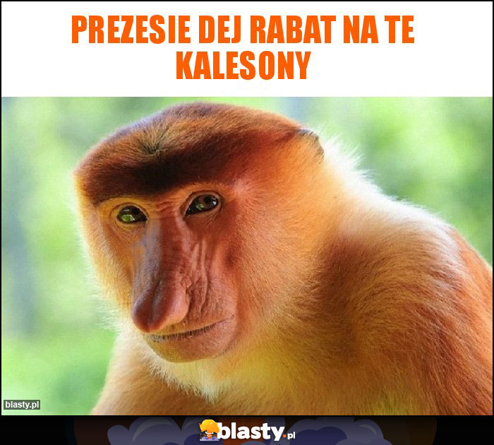 Prezesie dej rabat na te kalesony