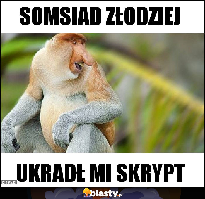 Somsiad złodziej