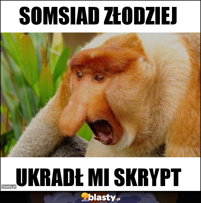 Somsiad złodziej