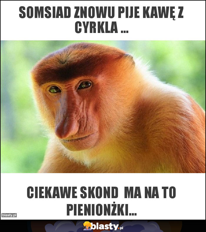 Somsiad znowu pije kawę z Cyrkla ...