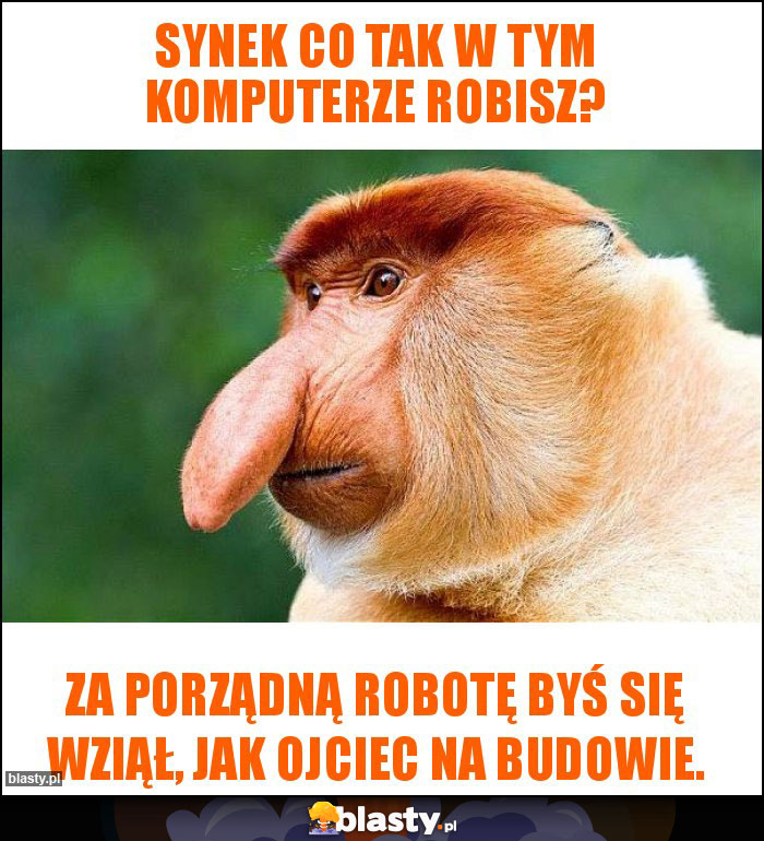 Synek co tak w tym komputerze robisz?