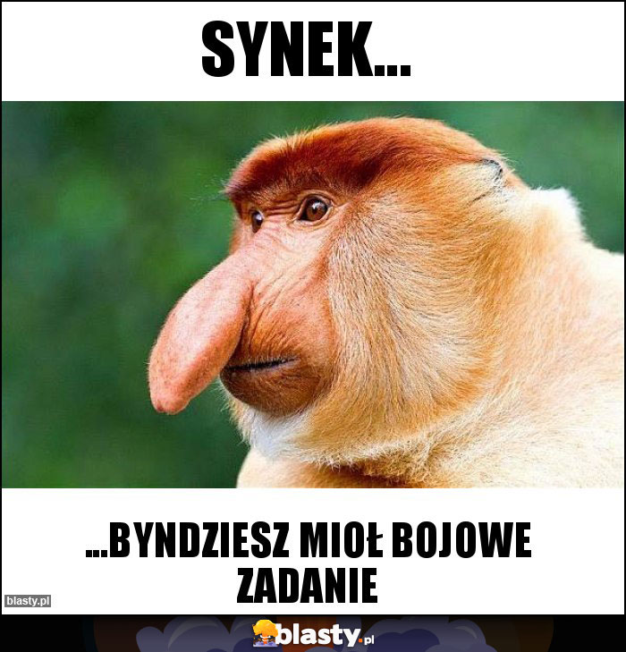 SYNEK...