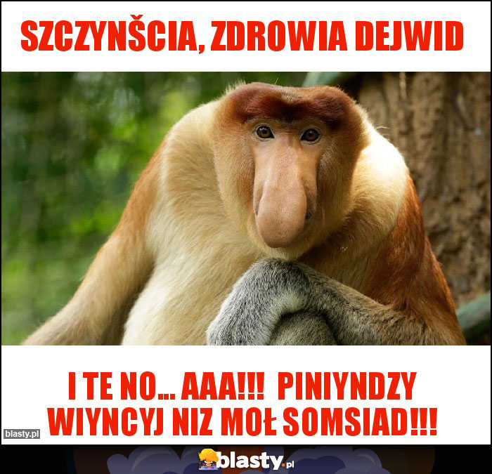 SZCZYNŠCIA, ZDROWIA DEJWID