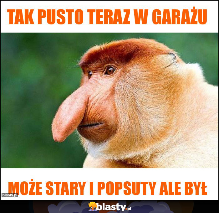 Tak pusto teraz w garażu