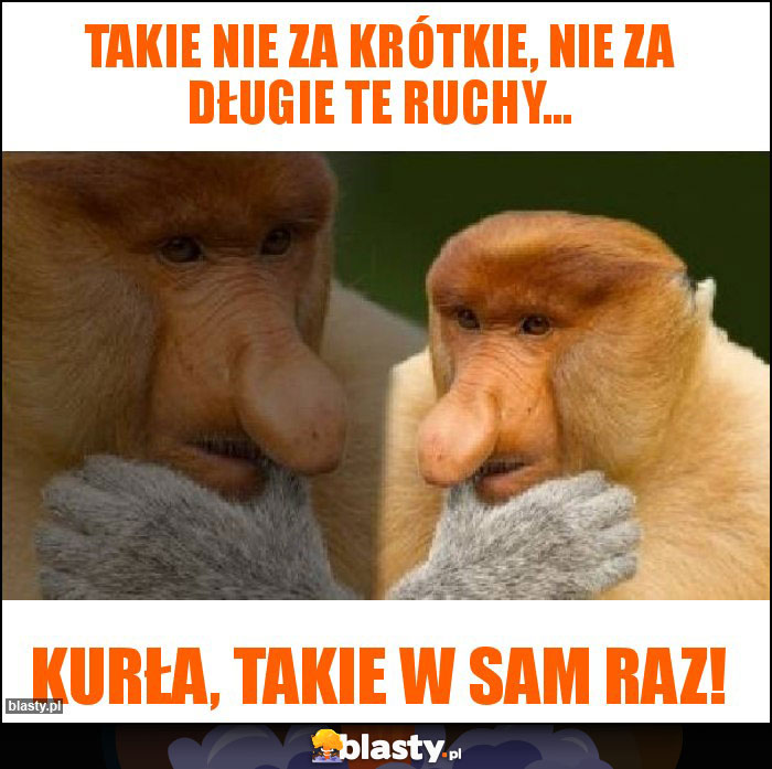 Takie nie za krótkie, nie za długie te ruchy...