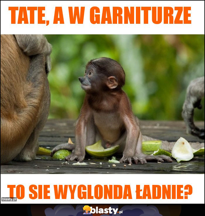 Tate, a w garniturze