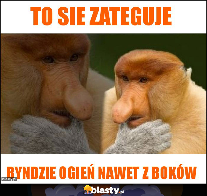 To sie Zateguje