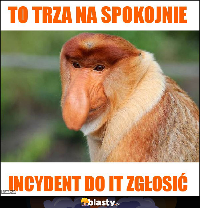 To trza na spokojnie