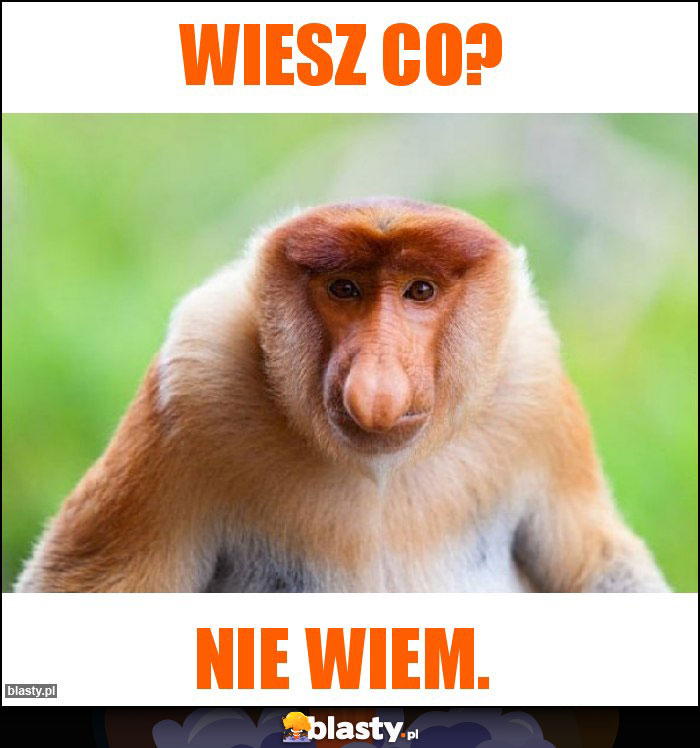 Wiesz co?