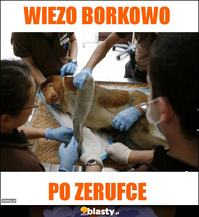 Wiezo Borkowo