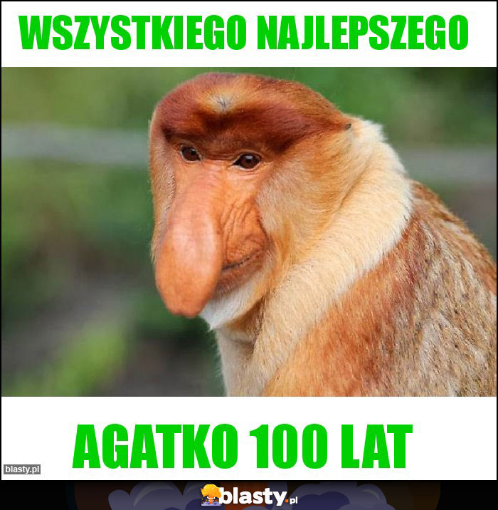 Wszystkiego najlepszego