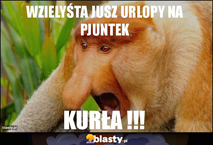 Wzielyśta jusz urlopy na pjuntek