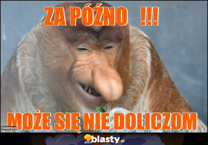 Za późno   !!!